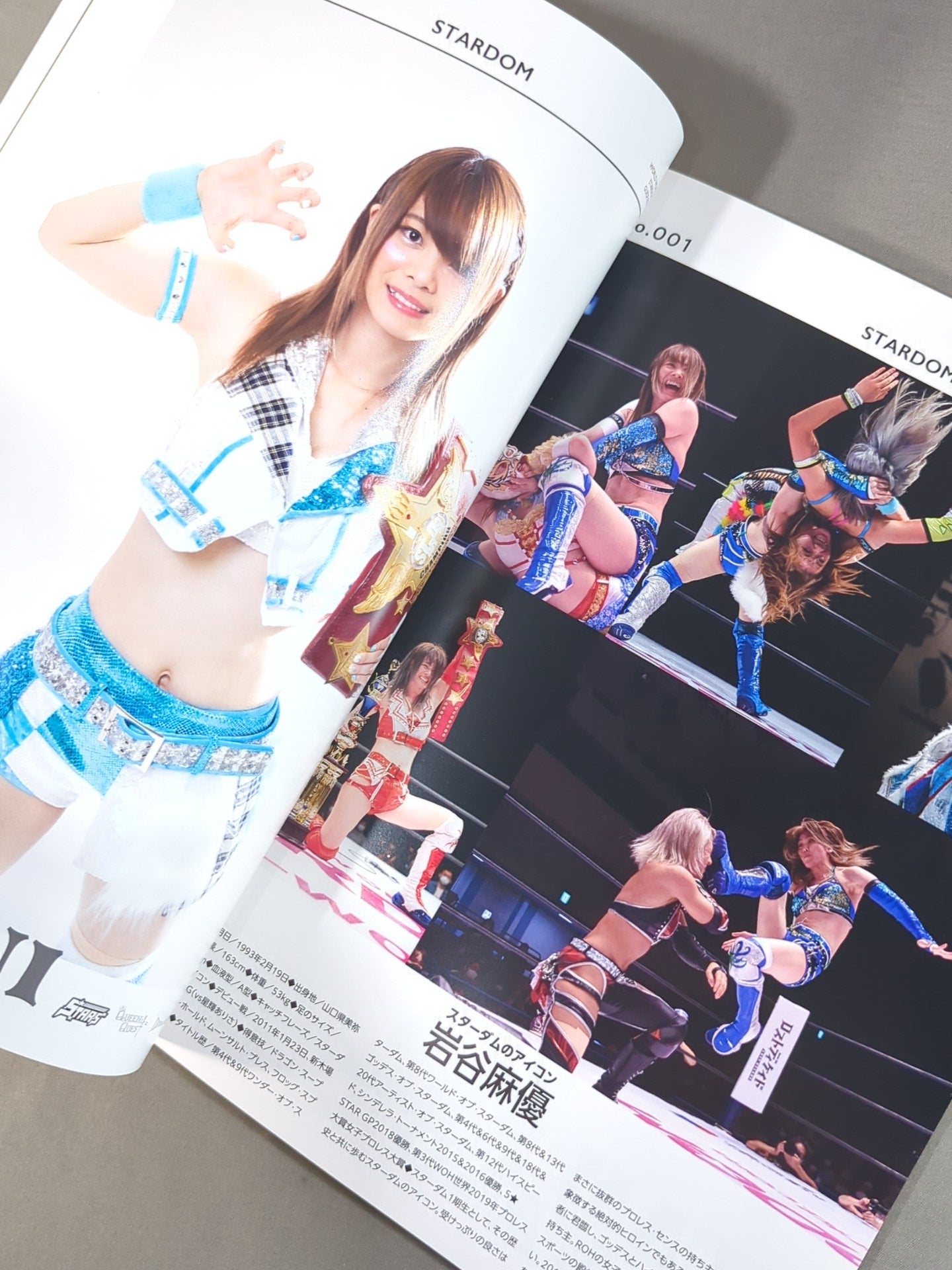 STARDOM OFFICIAL GUIDE BOOK Vol.132 – 闘道館