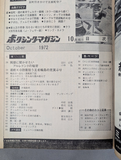 ボクシングマガジン13