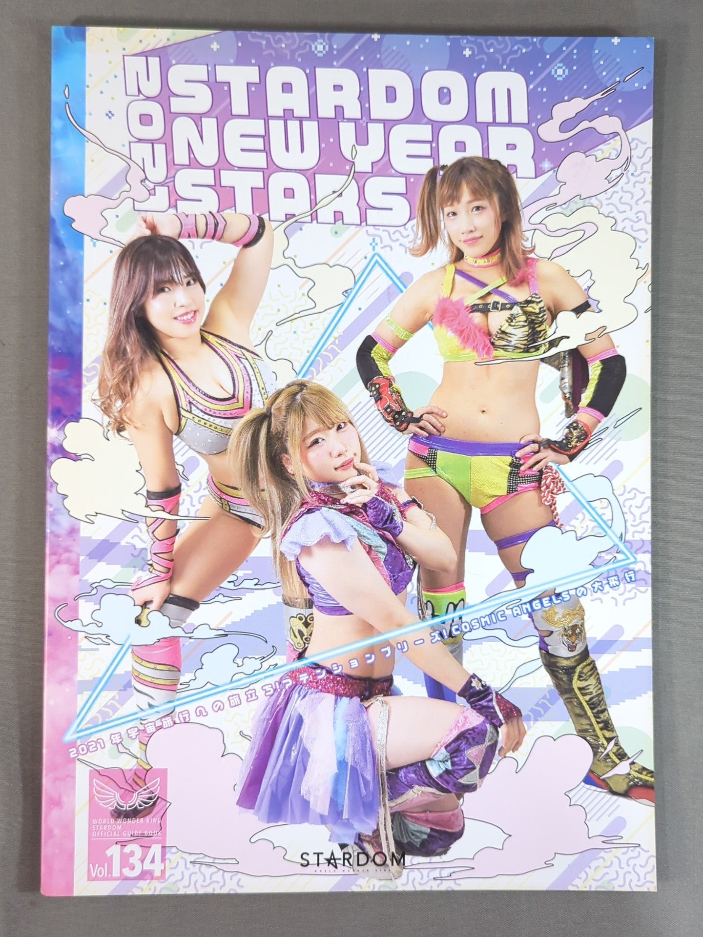 STARDOM OFFICIAL GUIDE BOOK Vol.134