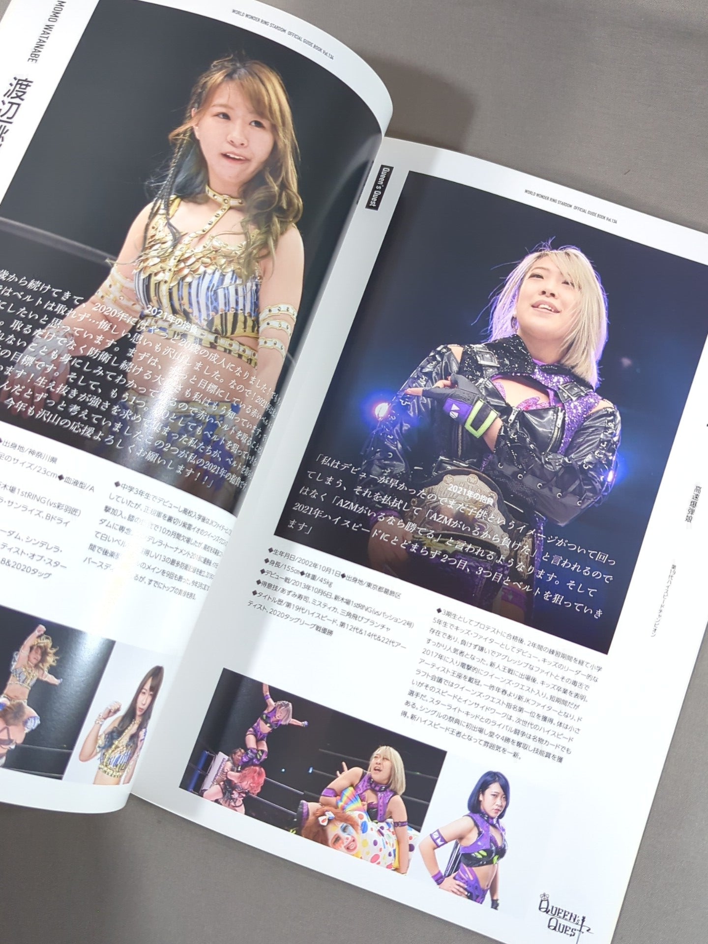 STARDOM OFFICIAL GUIDE BOOK Vol.134