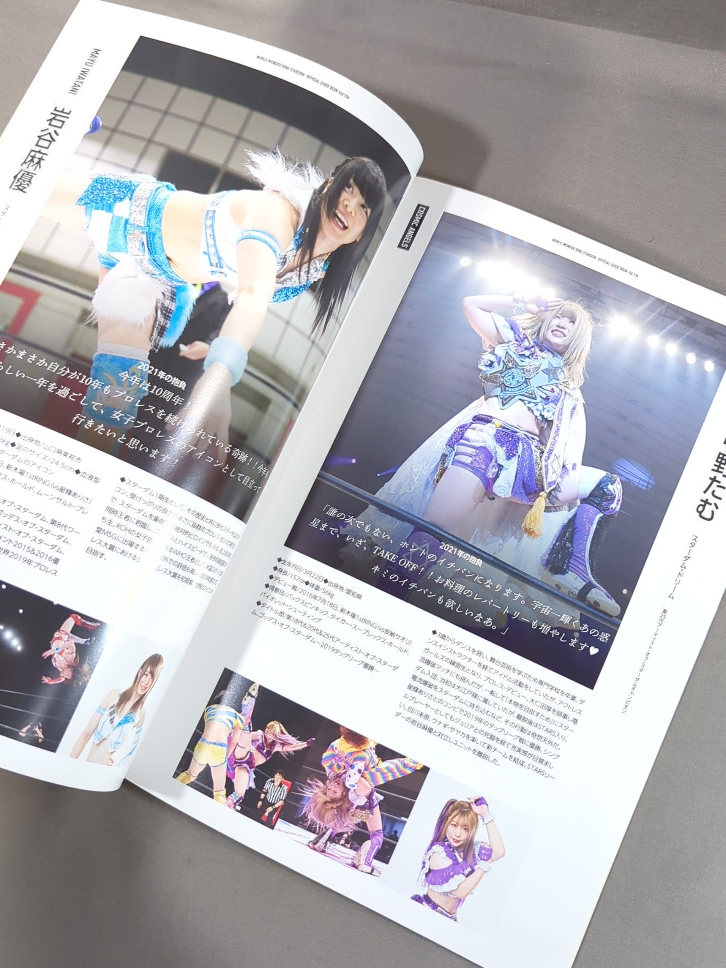 STARDOM OFFICIAL GUIDE BOOK Vol.134