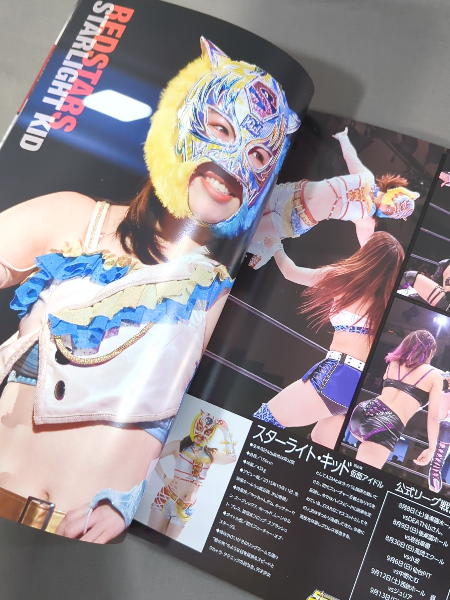 スターダム★アイドルズ 公式ガイドブック STARDOM OFFICIAL GUIDE BOOK Vol.131 – 闘道館