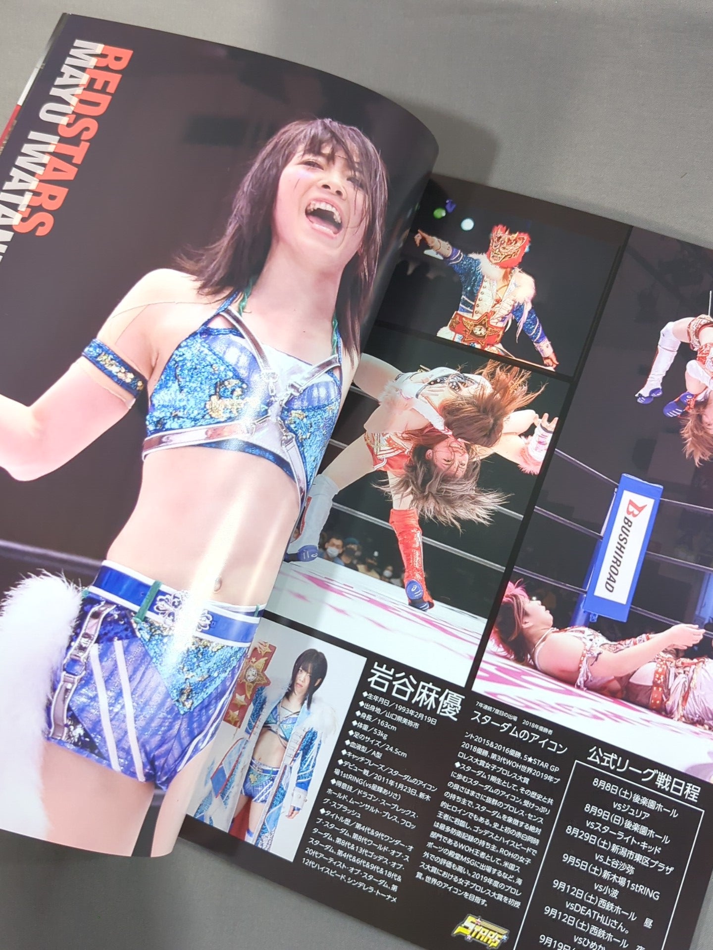STARDOM OFFICIAL GUIDE BOOK Vol.131 – 闘道館