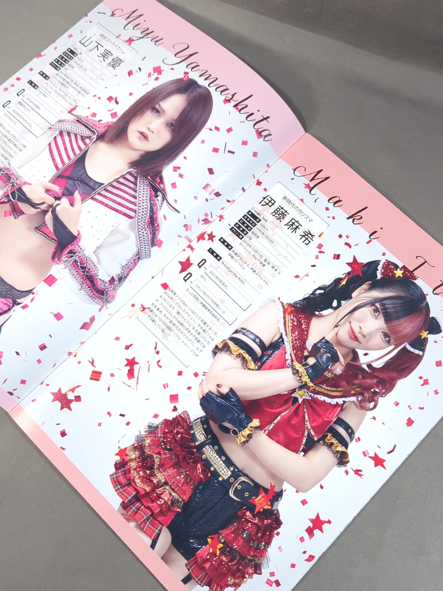 Tokyo Joshi Pro Wrestling  Official Program TJPW Vol.18