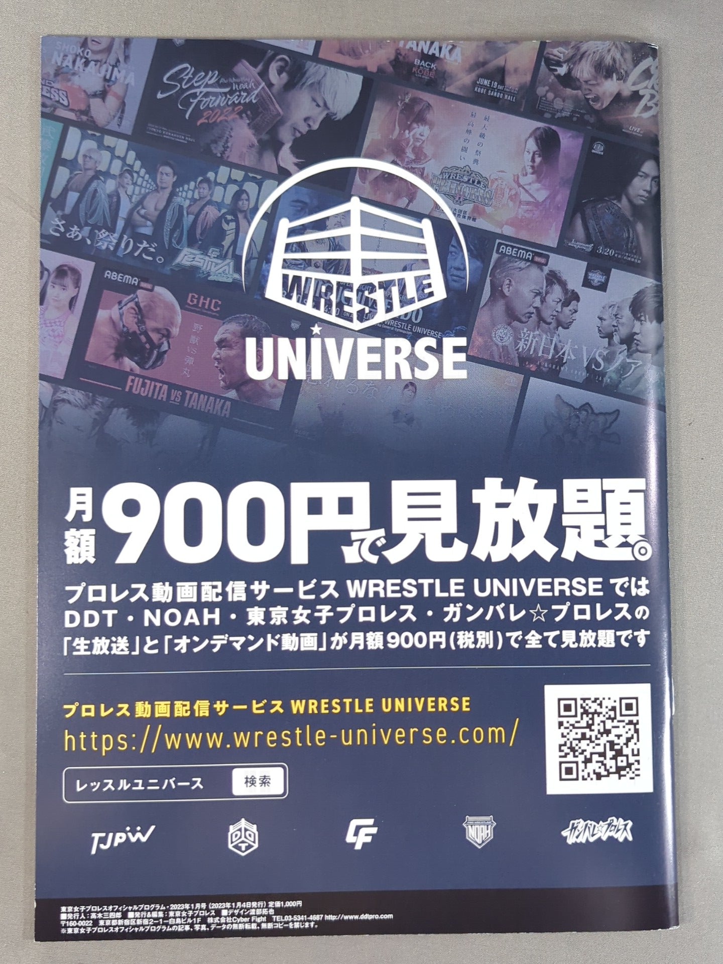 Tokyo Joshi Pro Wrestling  Official Program TJPW Vol.18