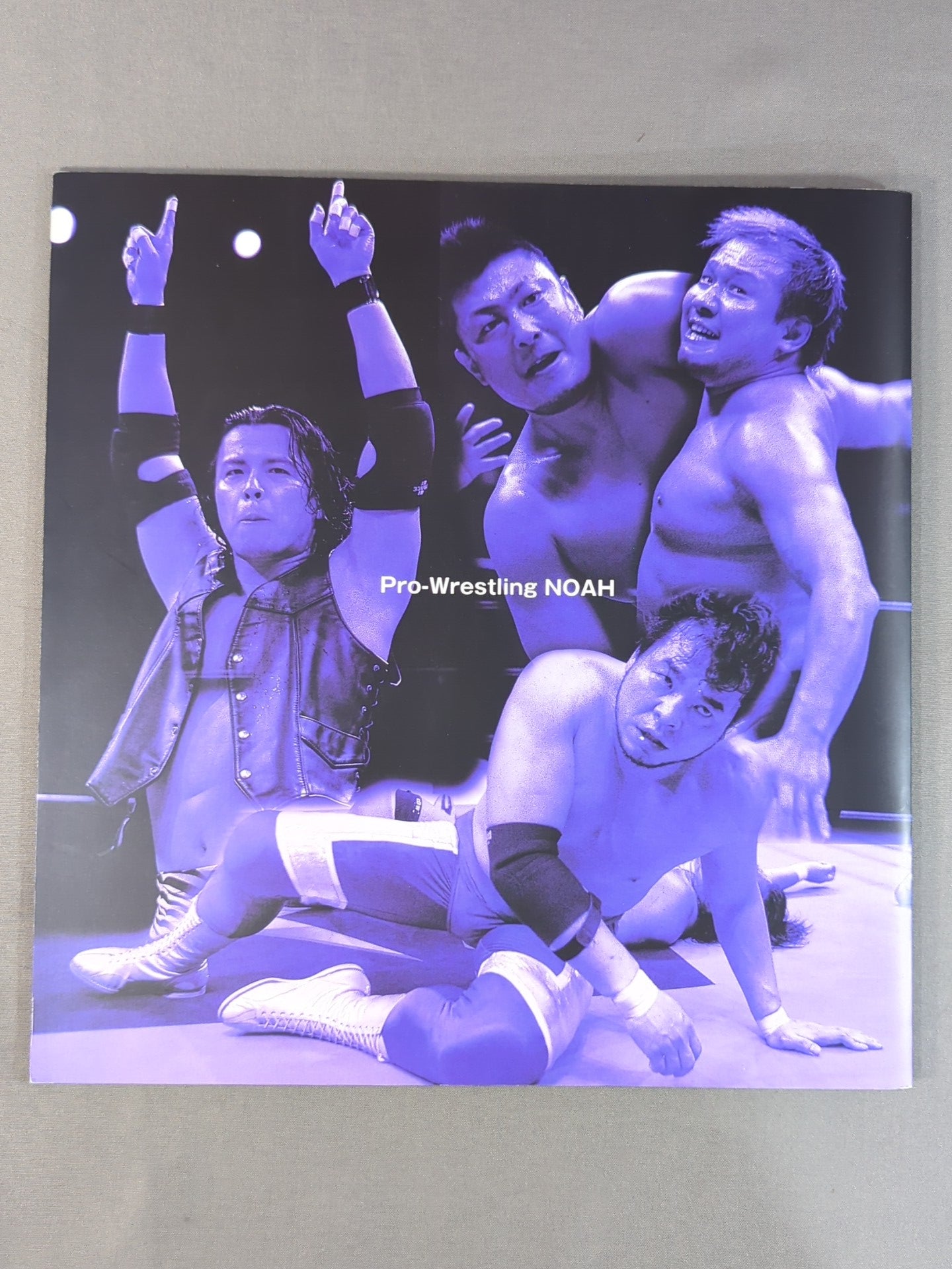 2004Navigate for Evolution / Nippon Budokan Tournament