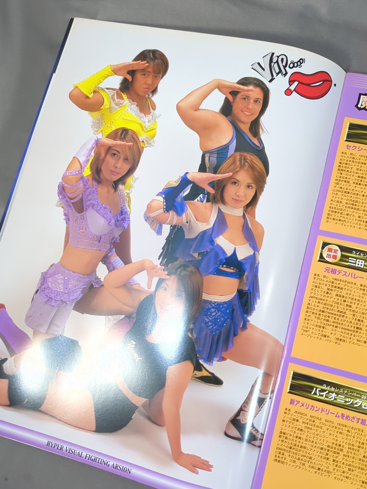 アルシオン / STARGOLD 2000 オフィシャルガイドブック Vol.17