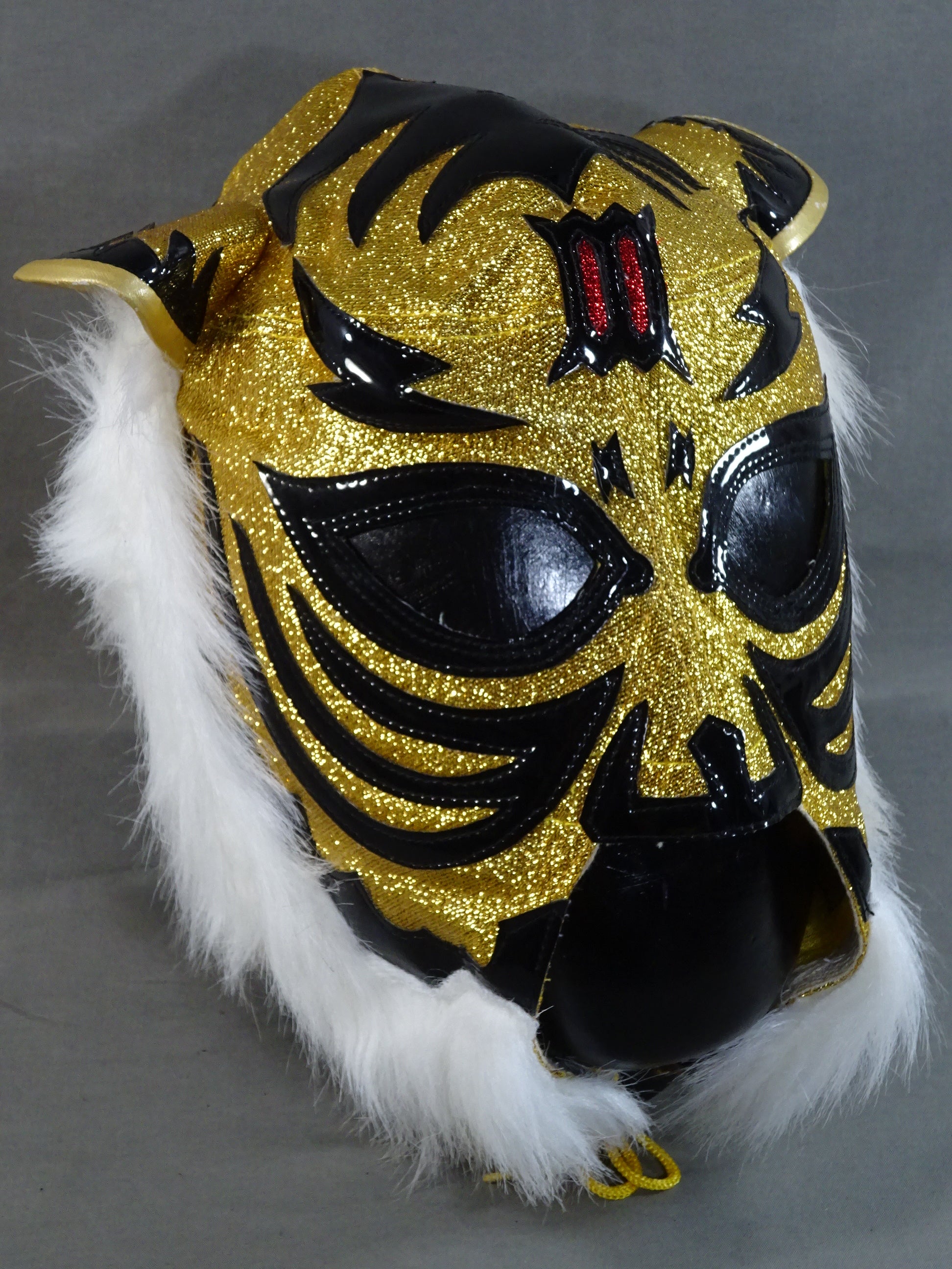 The first Tiger Mask – 闘道館
