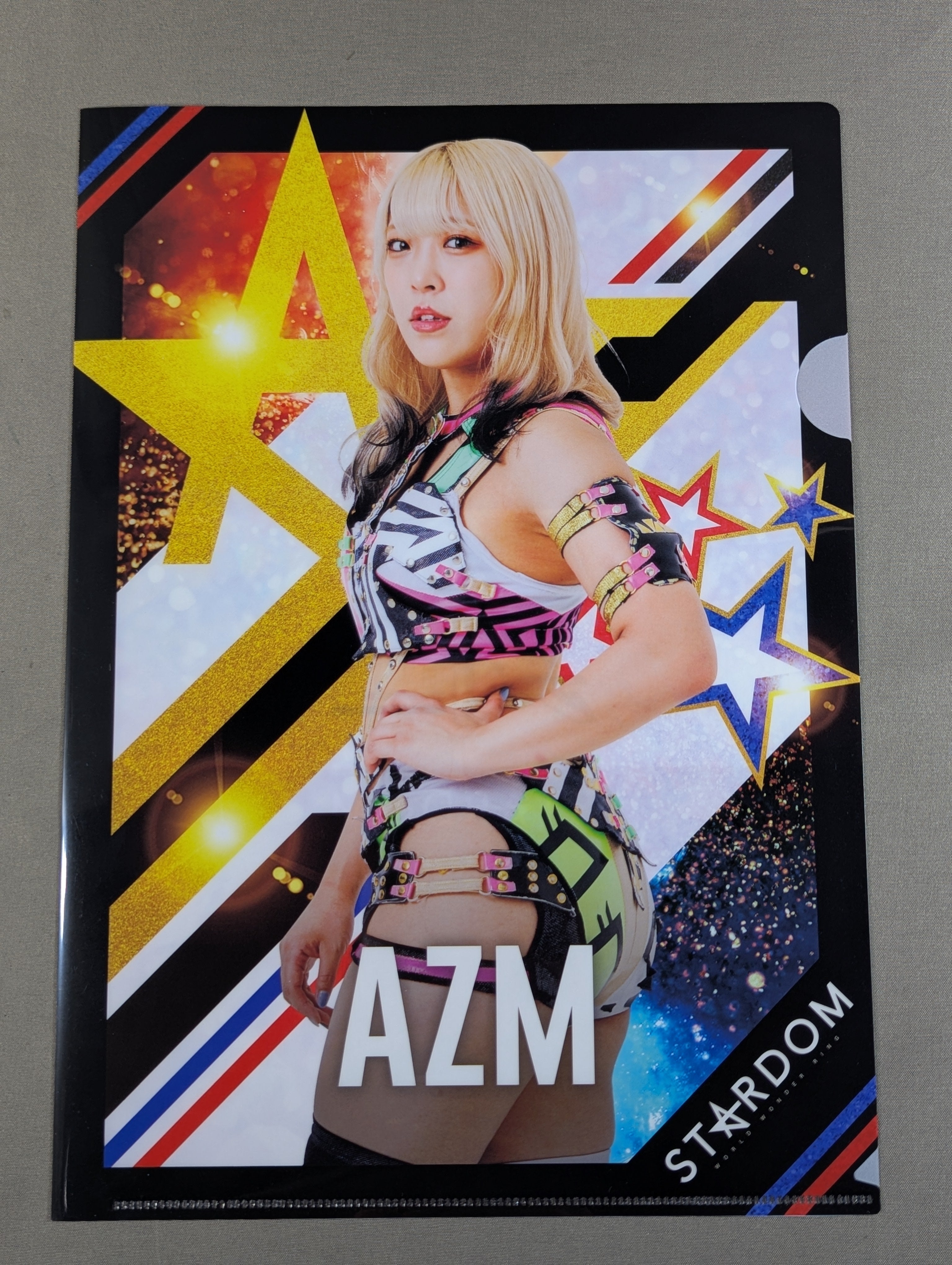 AZM 5☆STAR GP 2024 plastic file folder – 闘道館