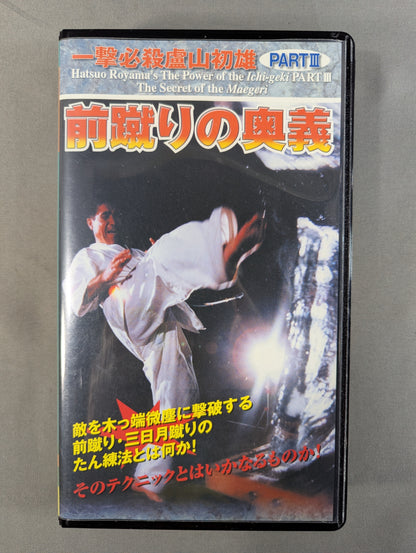 一撃必殺 盧山初雄 PARTⅡ ★正拳突きを極める★
