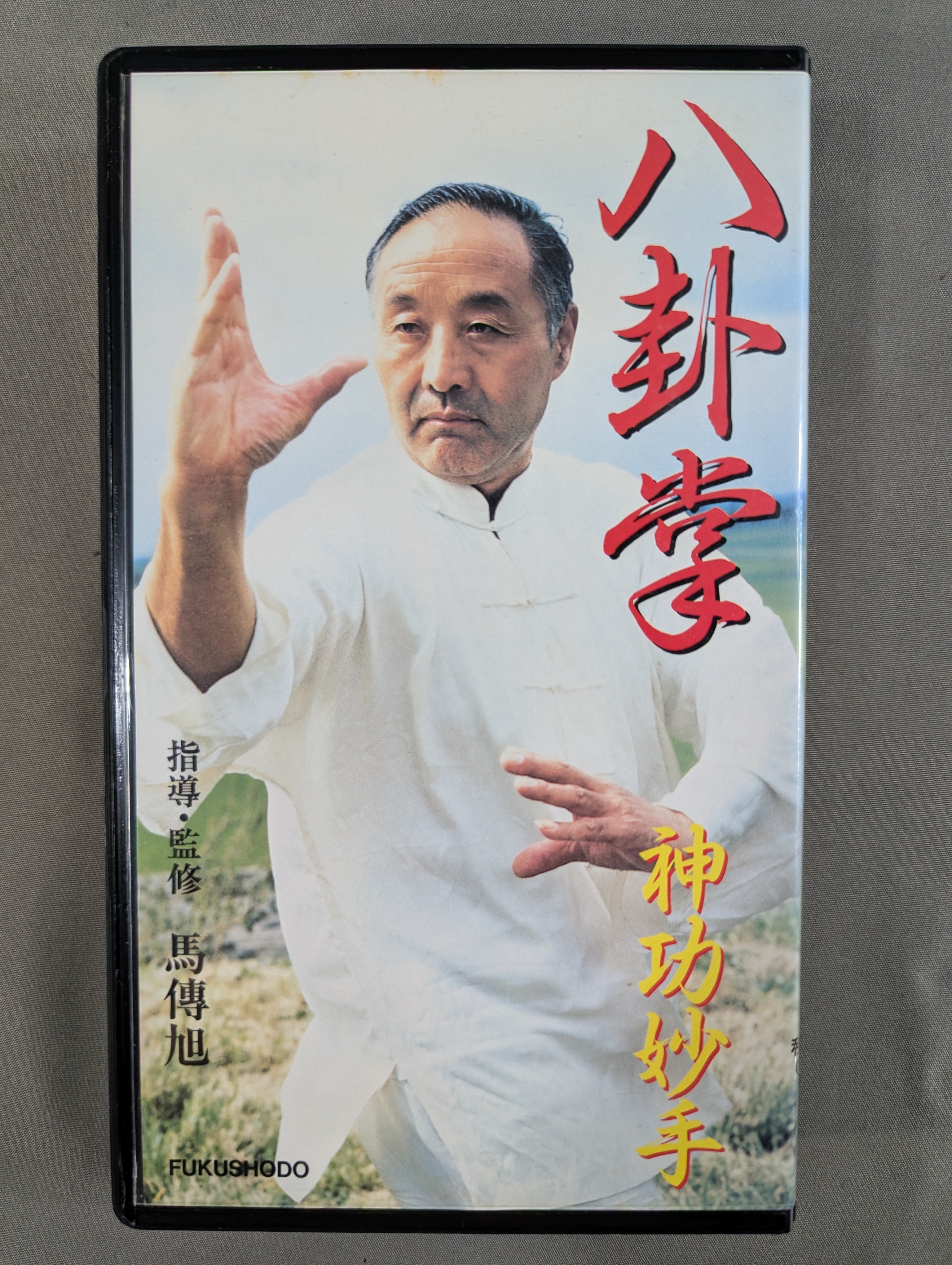 八卦掌 神功妙手 – 闘道館