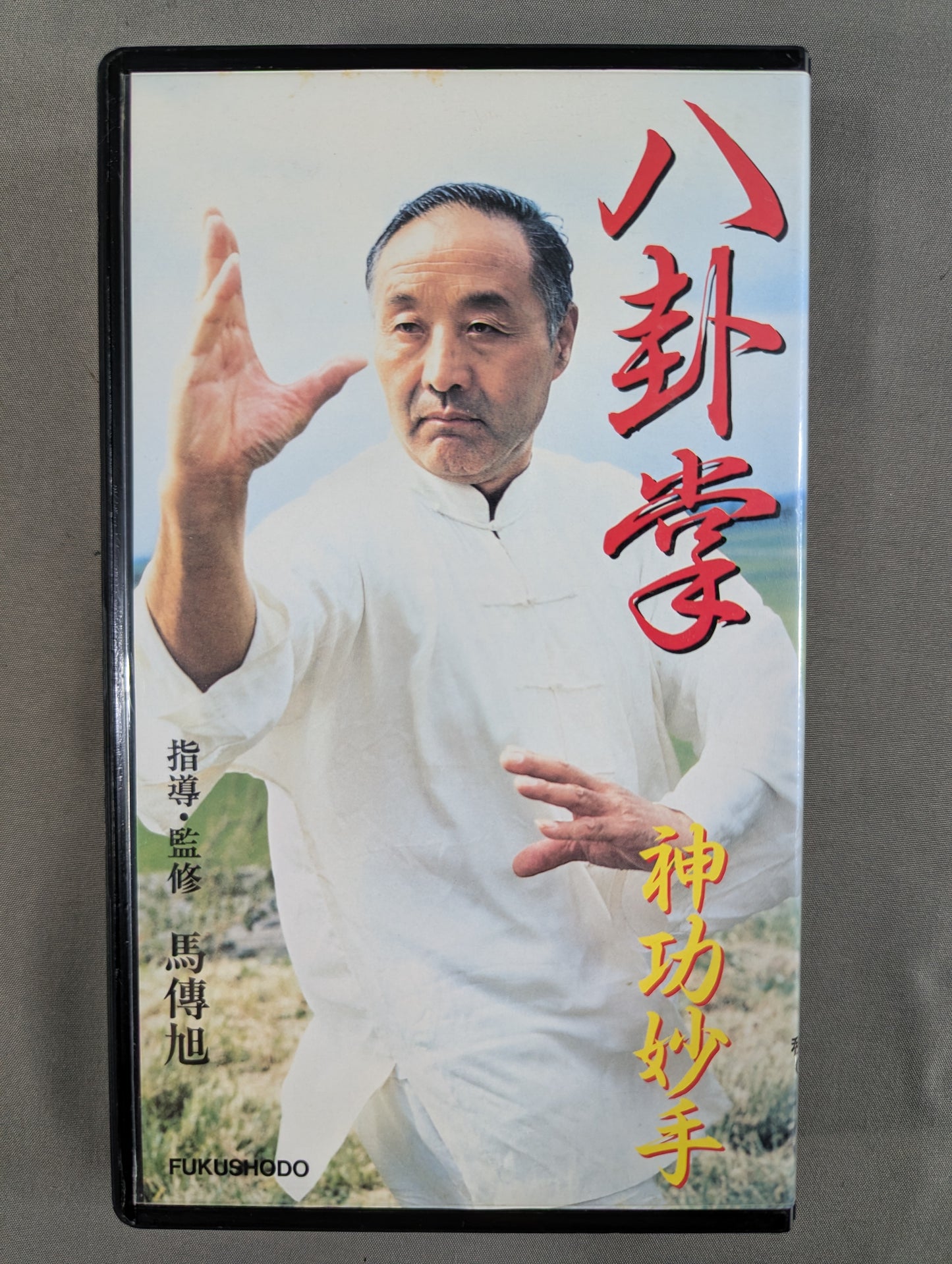 Baguazhang, a masterful hand