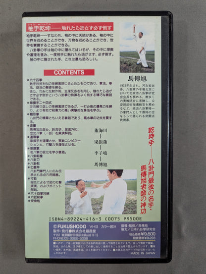 Baguazhang, a masterful hand