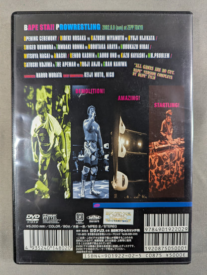 BAPESTA!! PRO Wrestling  2002.6.9