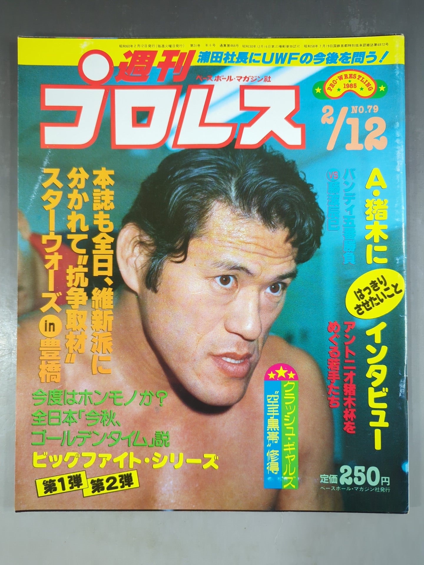 Weekly Pro Wrestling 79