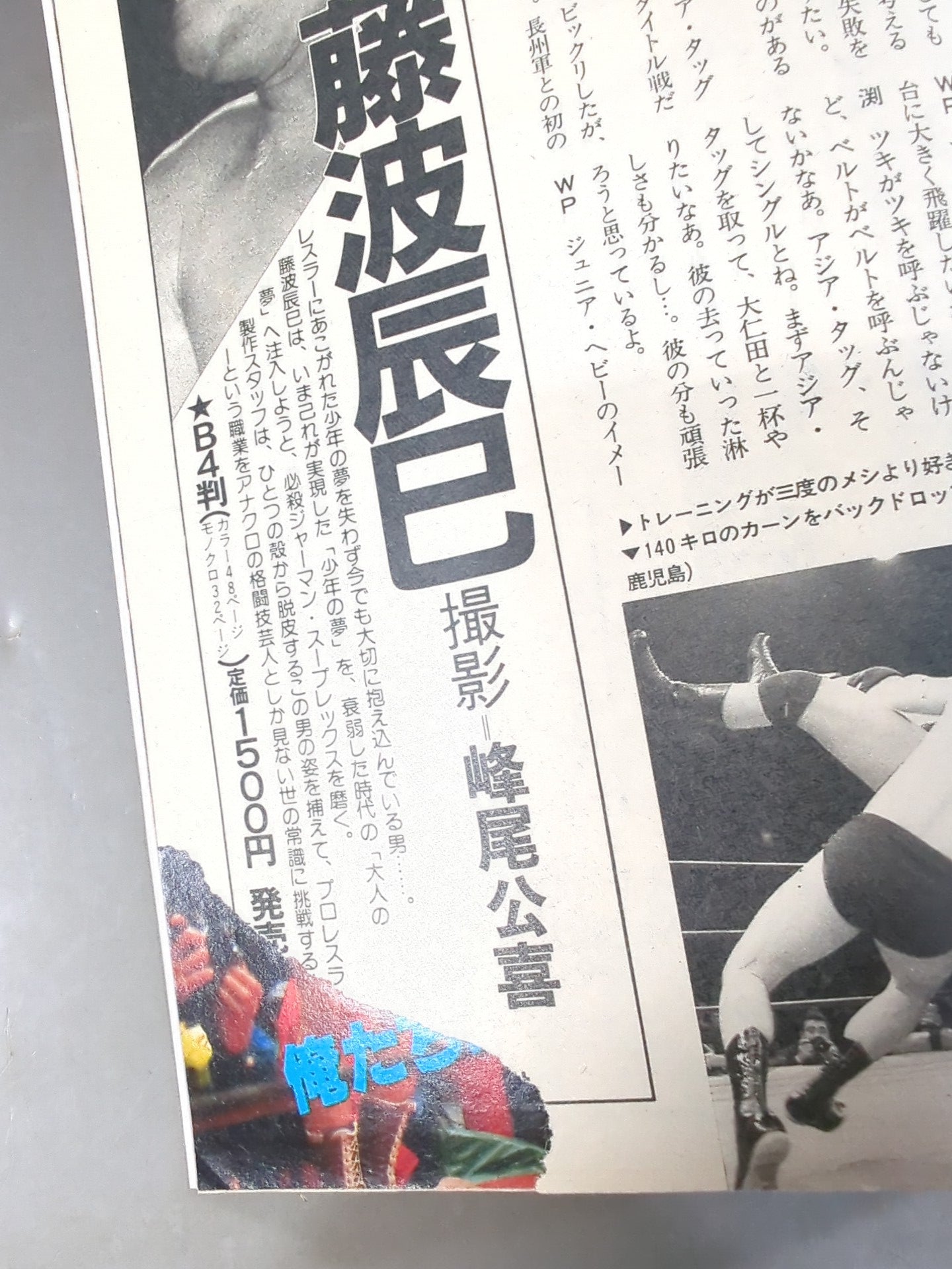 Weekly Pro Wrestling 79