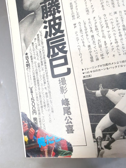 Weekly Pro Wrestling 79
