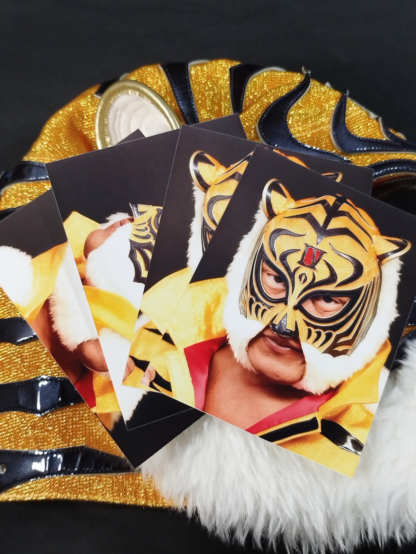 4th  Tiger Mask