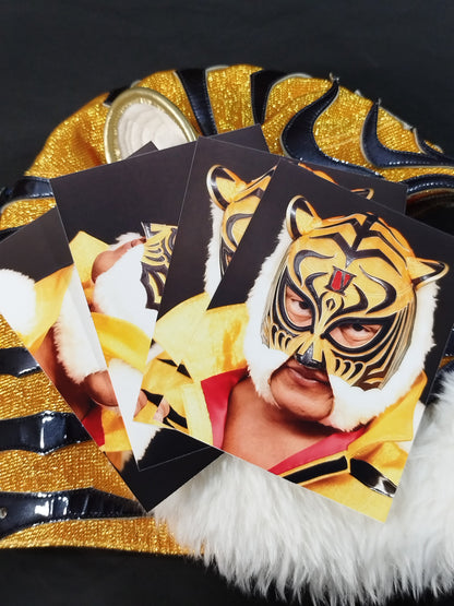 4th  Tiger Mask