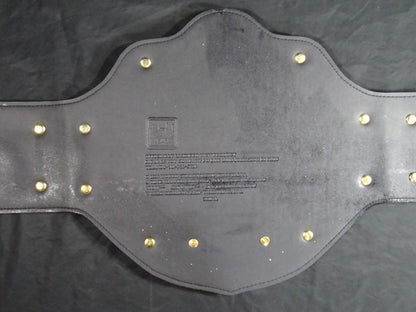 WCW World Heavyweight Championship Belt (BIG GOLD)