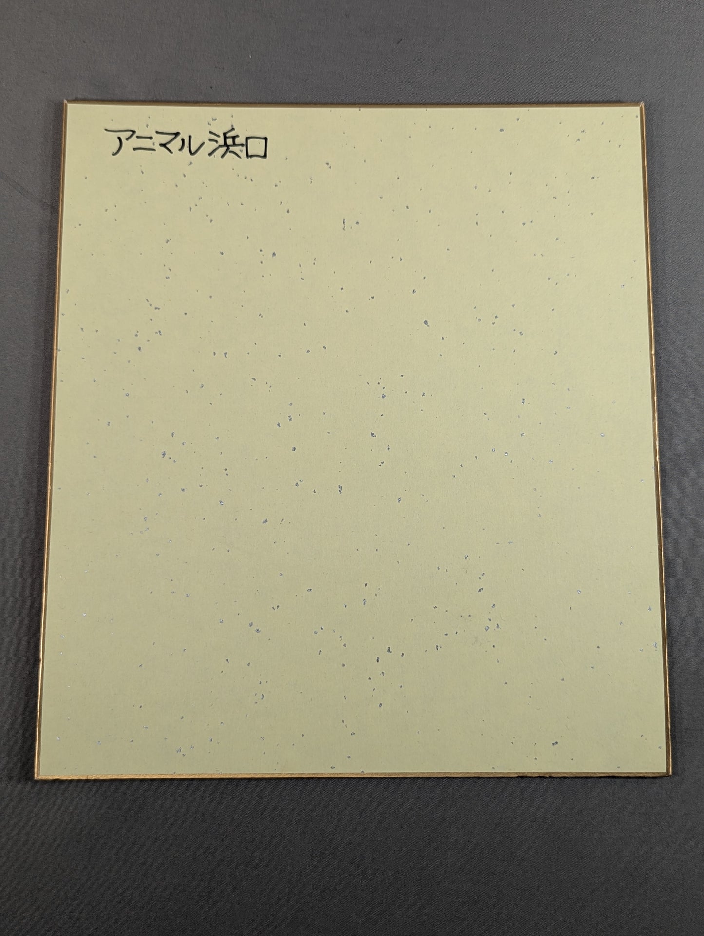 アニマル浜口