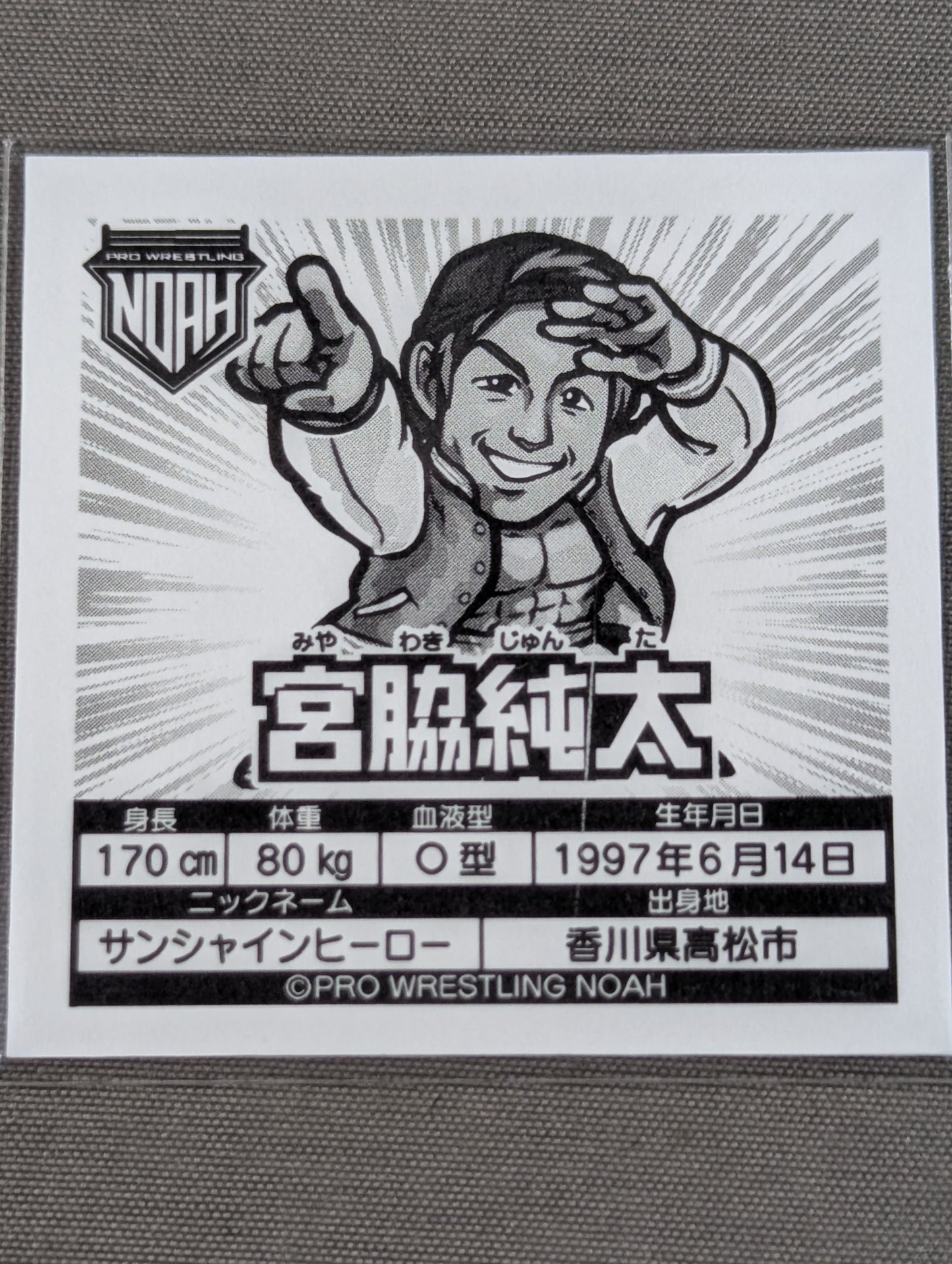 宮脇純太 NOAH プリズムシールコレクション