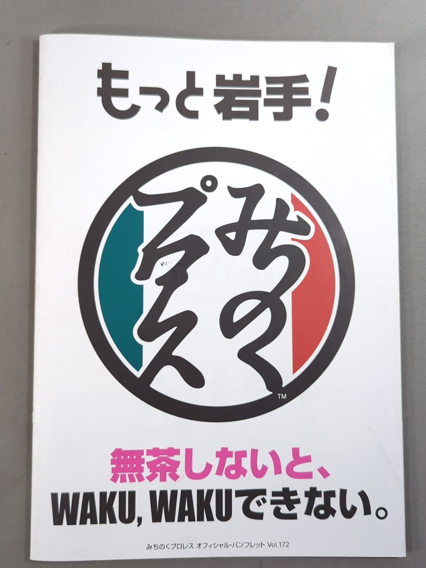 みちのくプロレス写真集　Ring OF Dreams(サイン入り) 4選手直筆サイン入り】みちのくプロレス オフィシャルパンフレット Vol