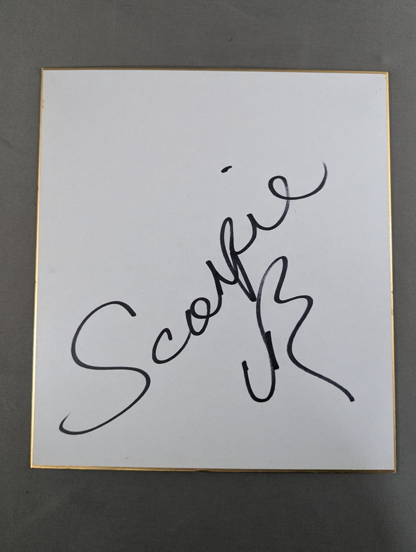 Scorpio Jr.