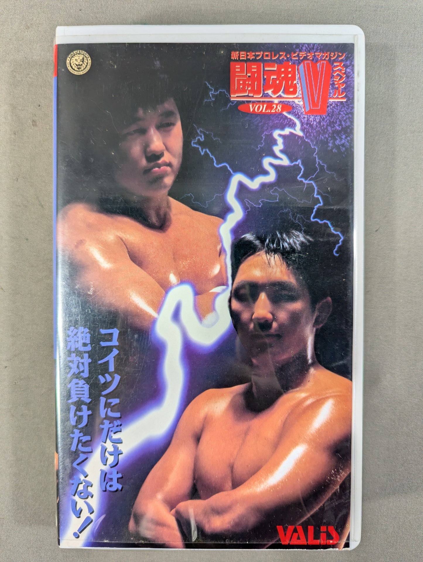 Fighting Spirit V Special Vol.28