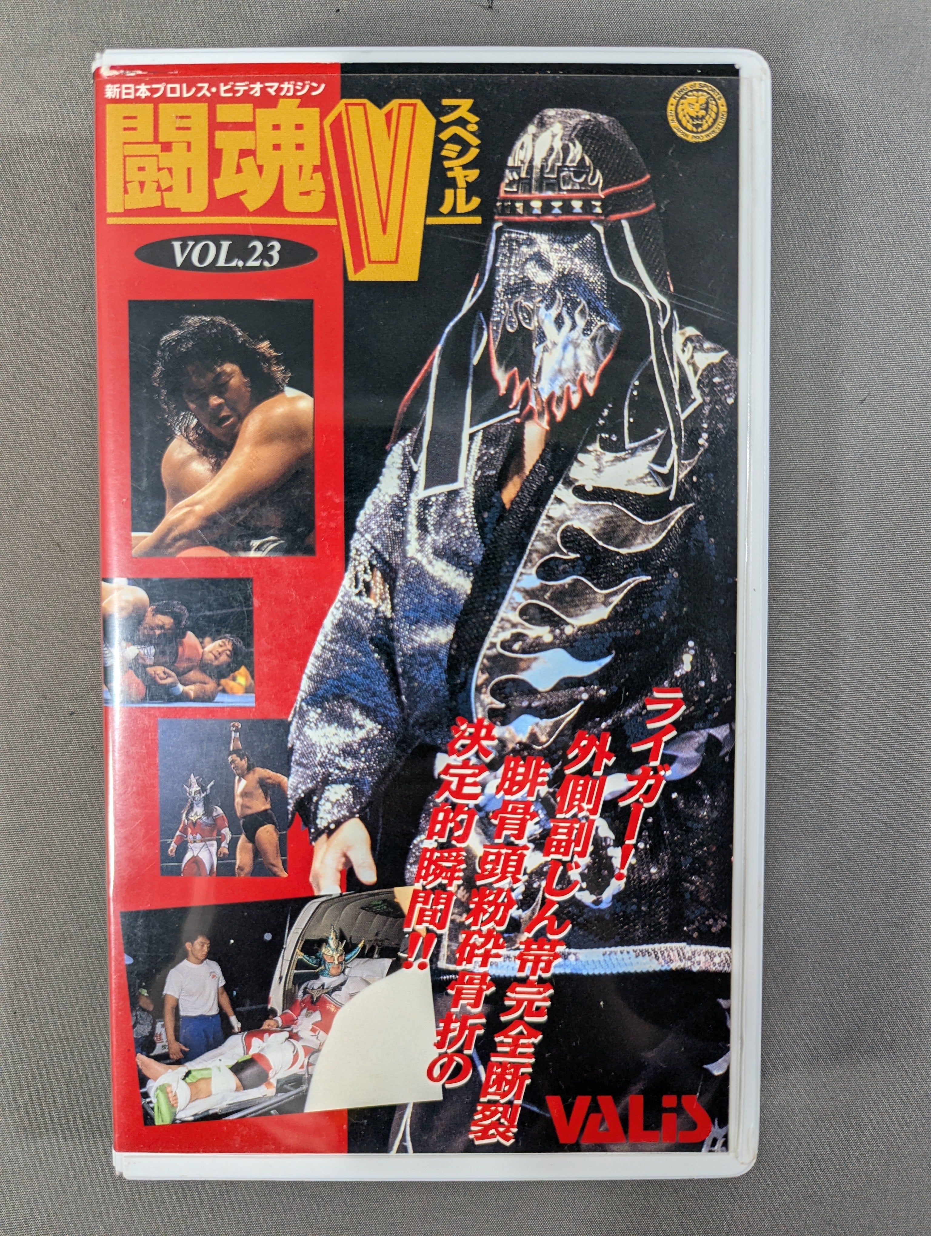 闘魂Vスペシャル Vol.23 – 闘道館