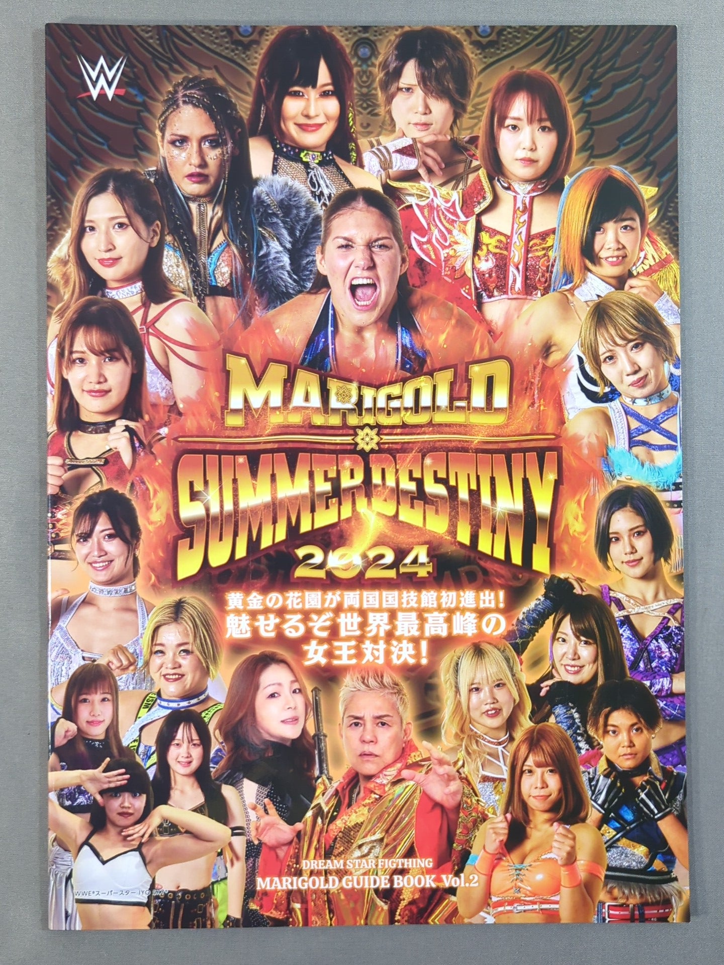 MARIGOLD GUIDE BOOK Vol.2 SUMMER DESTINY 2024
