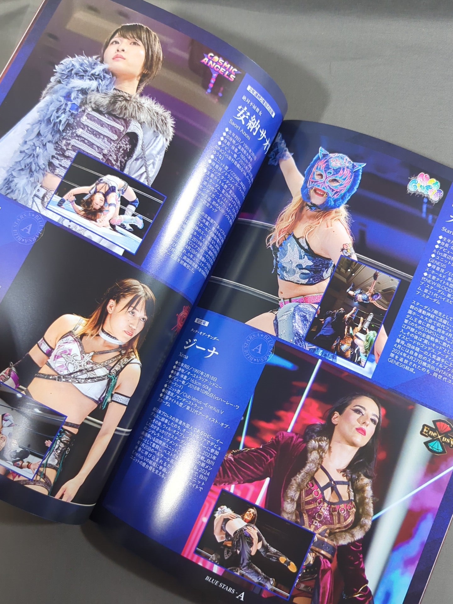 STARDOM OFFICIAL GUIDE BOOK Vol.152