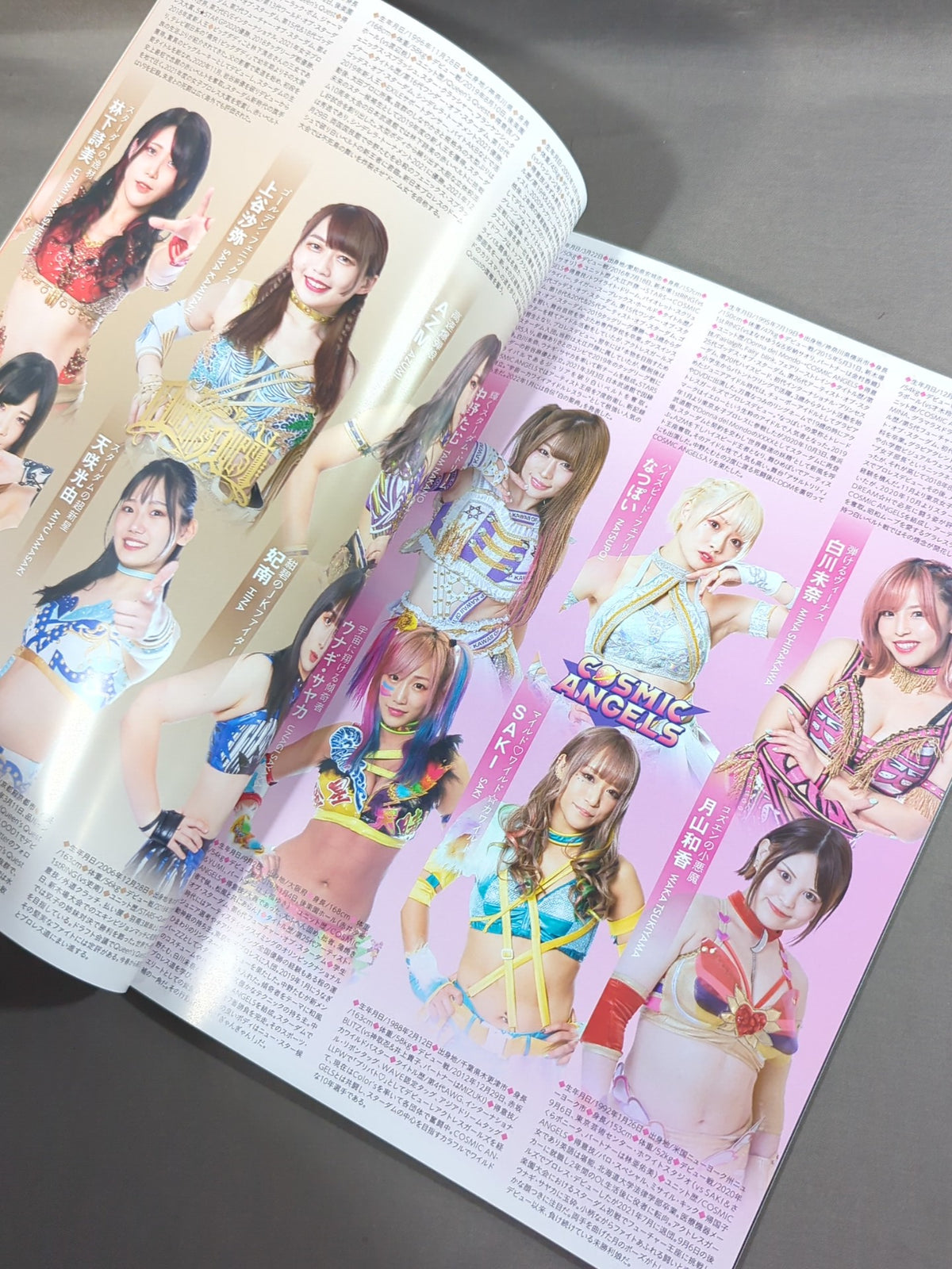 STARDOM OFFICIAL GUIDE BOOK 5★STAR GP2022 Special Edit