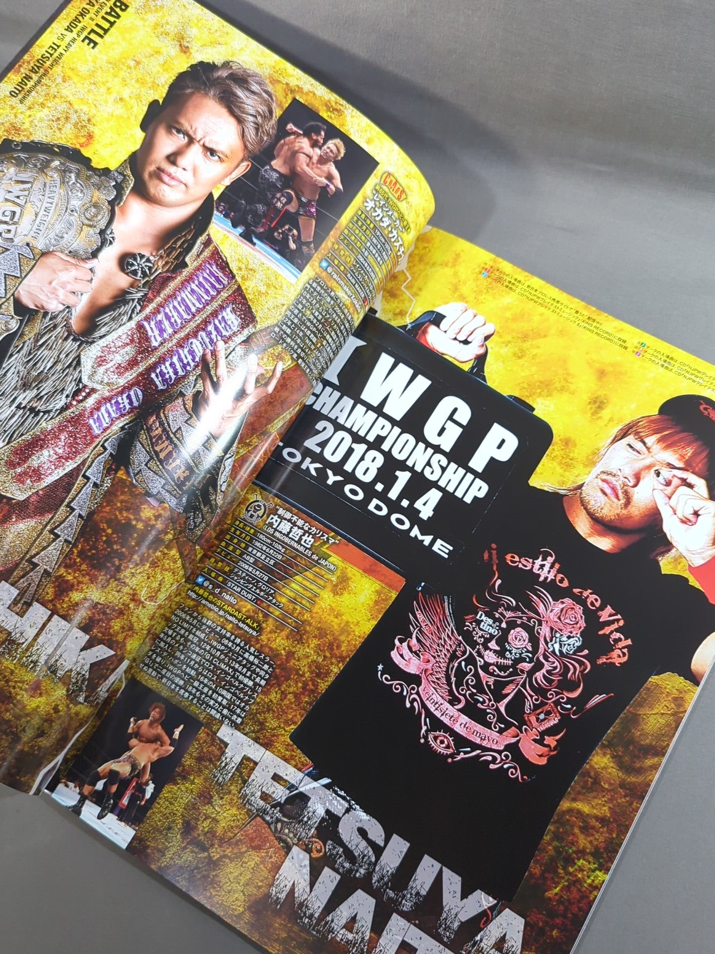 レッスルキングダム12 / WRESTLE KINGDOM 12