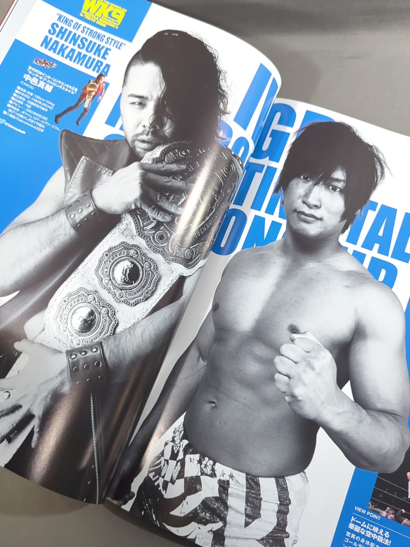 レッスルキングダム9 / WRESTLE KINGDOM 9