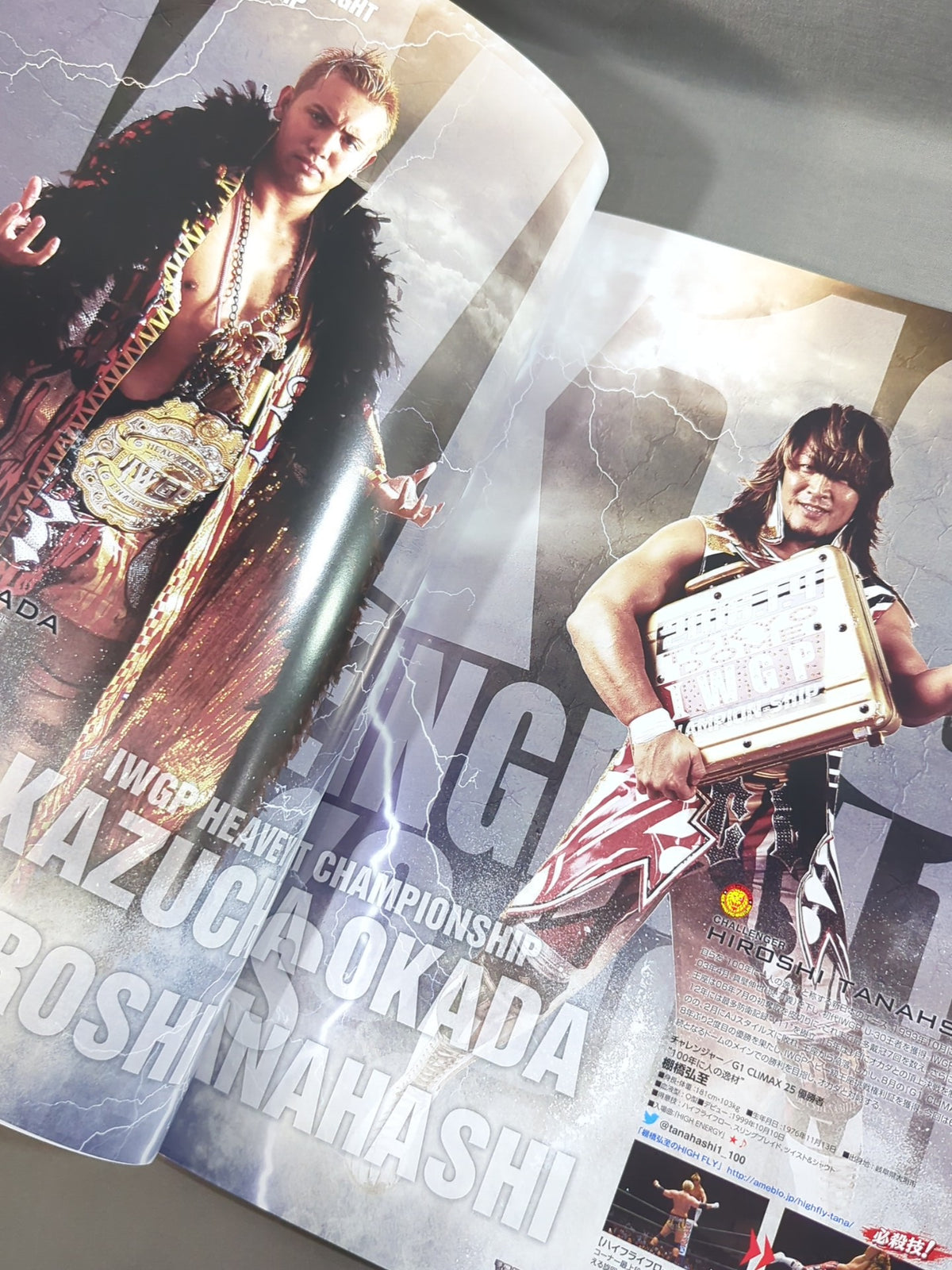 レッスルキングダム10 / WRESTLE KINGDOM 10