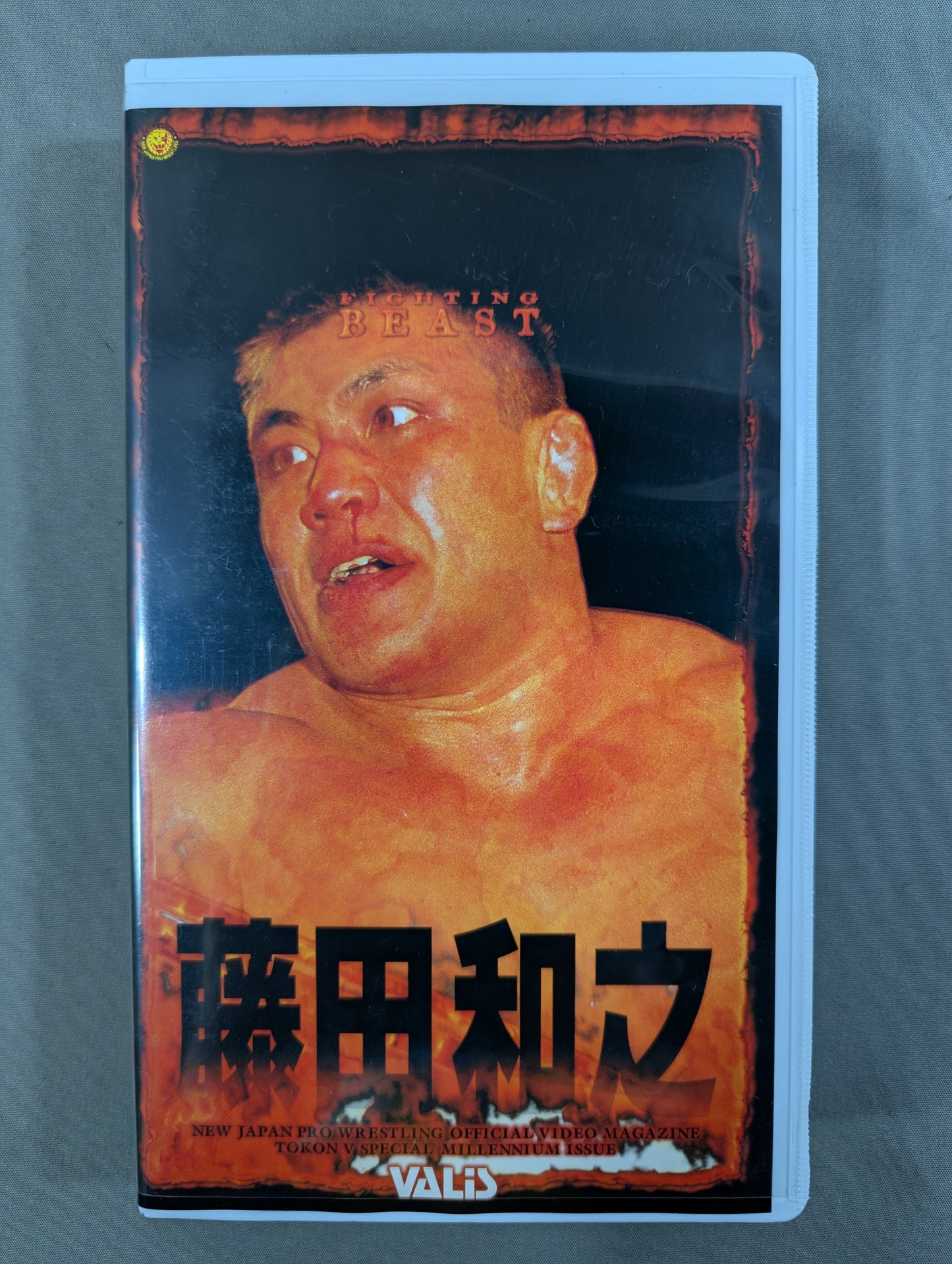 ★今､明かされる野獣の真実★ 藤田和之特集 闘魂Vスペシャル特別編