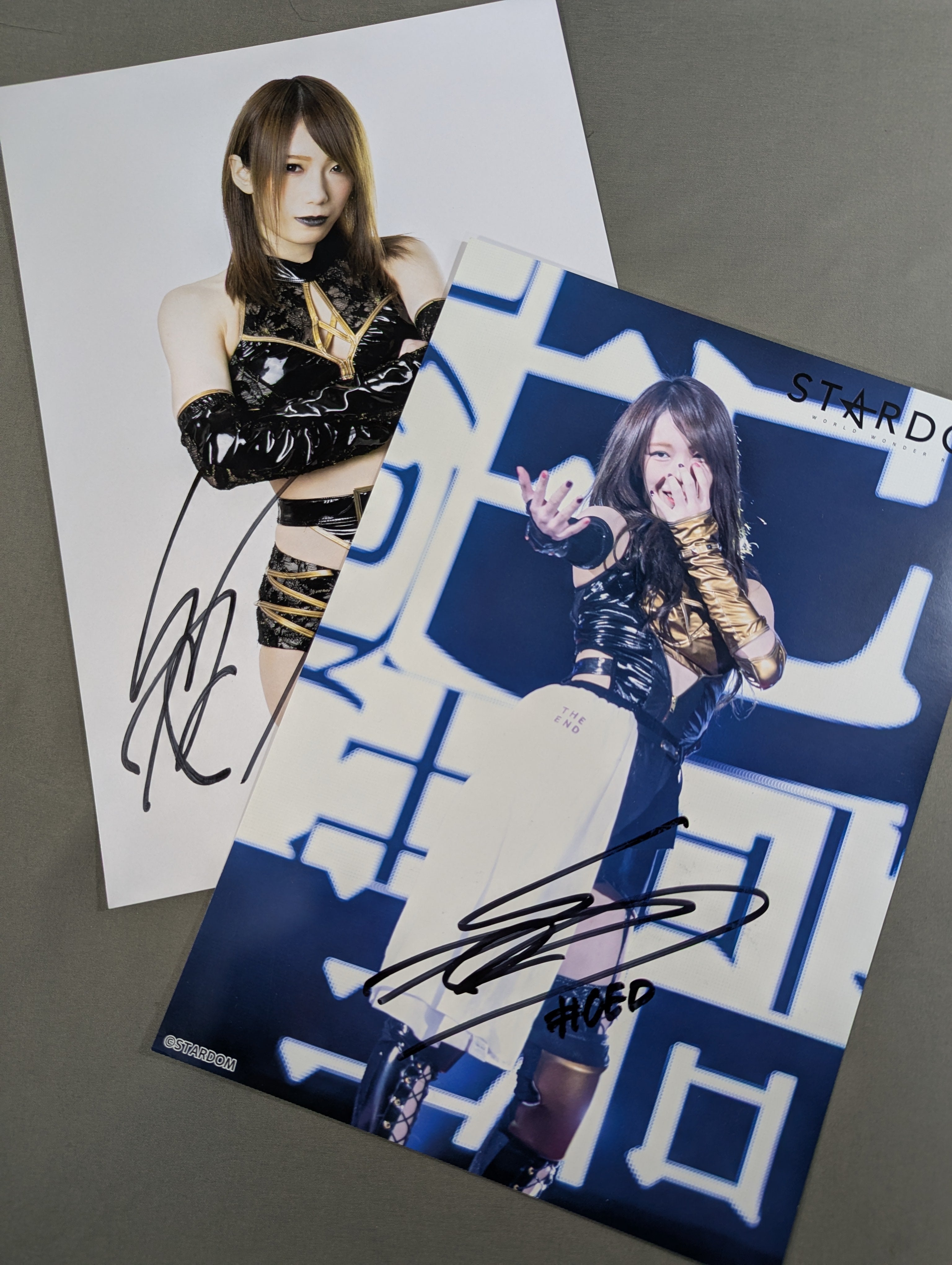 スターダム 鹿島沙希 直筆サイン & キスマーク入り 写真集 EMBLEM 鹿島沙希 直筆サイン入り ポートレートセット – 闘道館