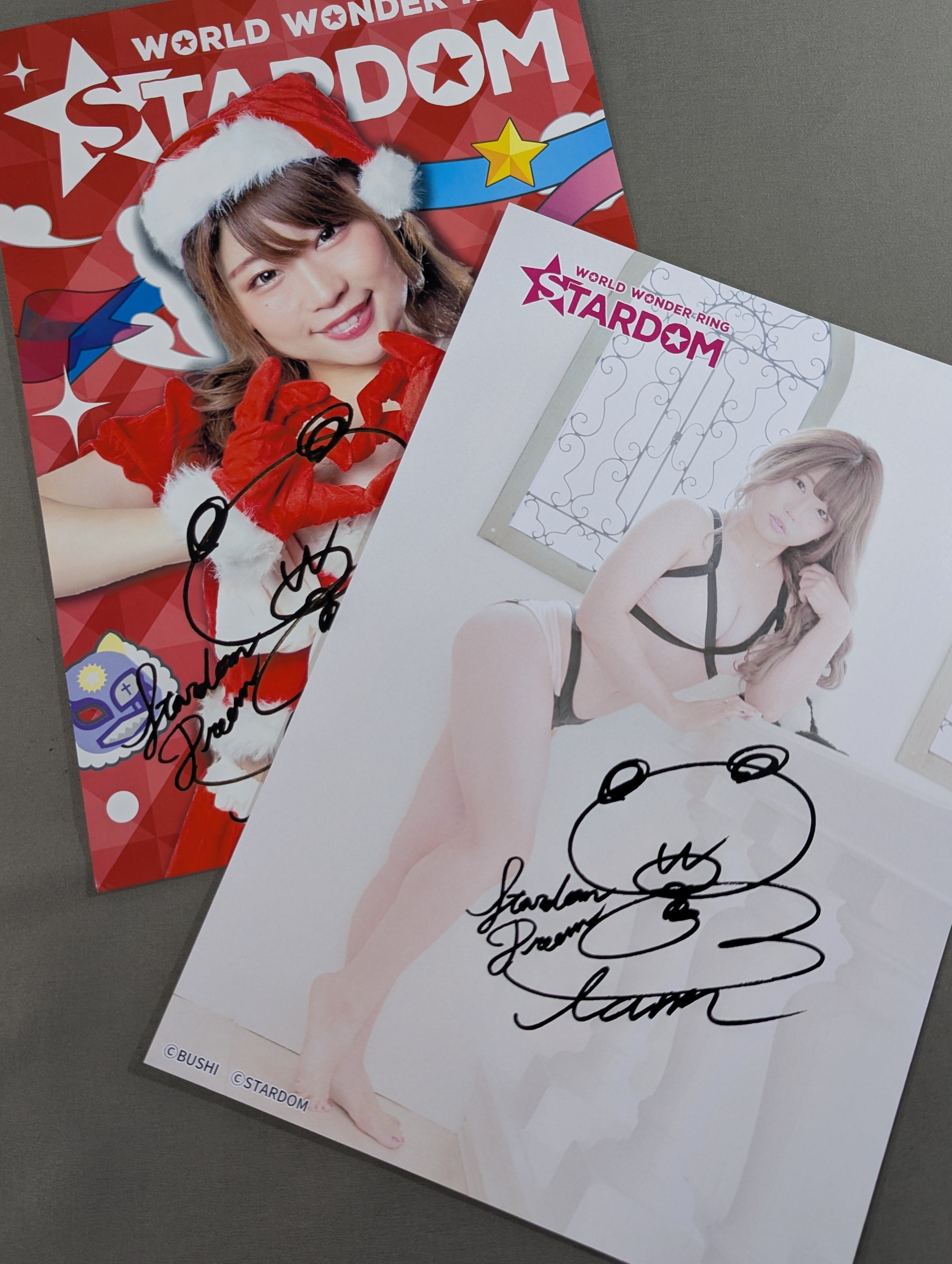 STARDOM 中野たむサイン入りポートレート、カード、書籍セット 中野たむ スターダム ポートレート2枚セット – 闘道館