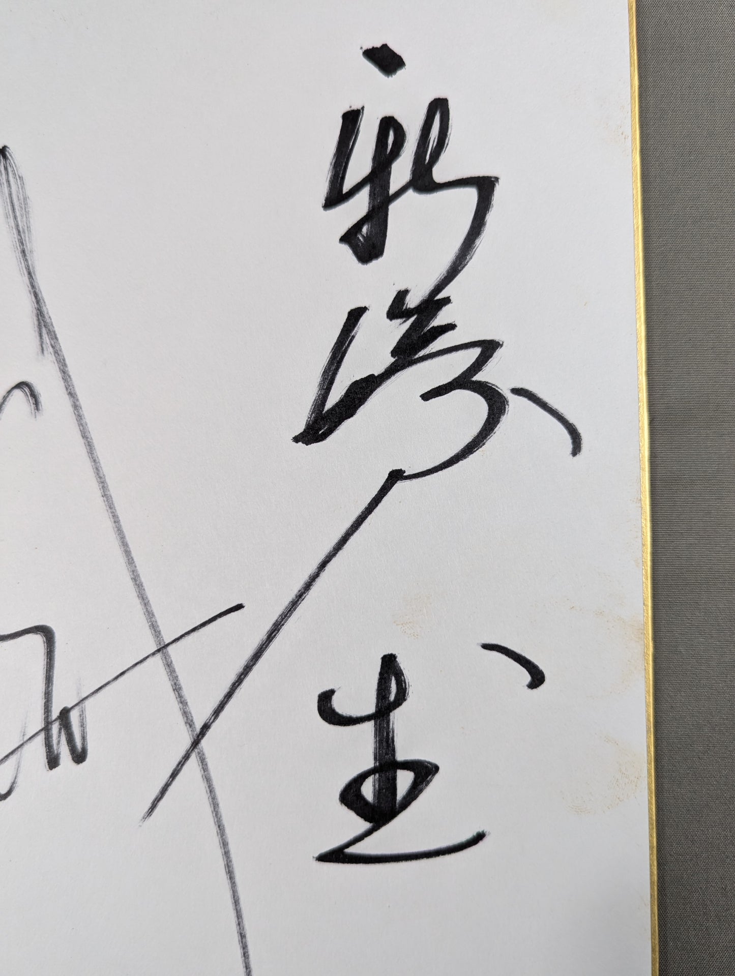 ハヤブサ＆新崎人生