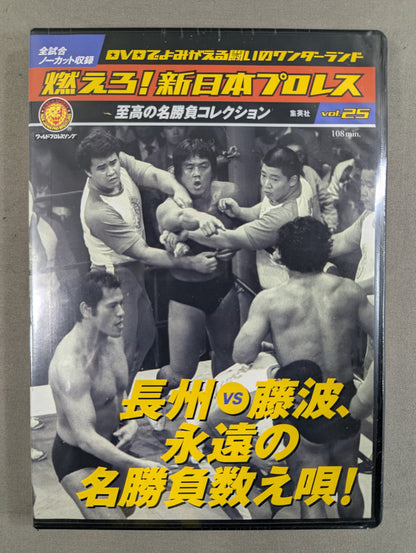 燃えろ!新日本プロレス vol.25