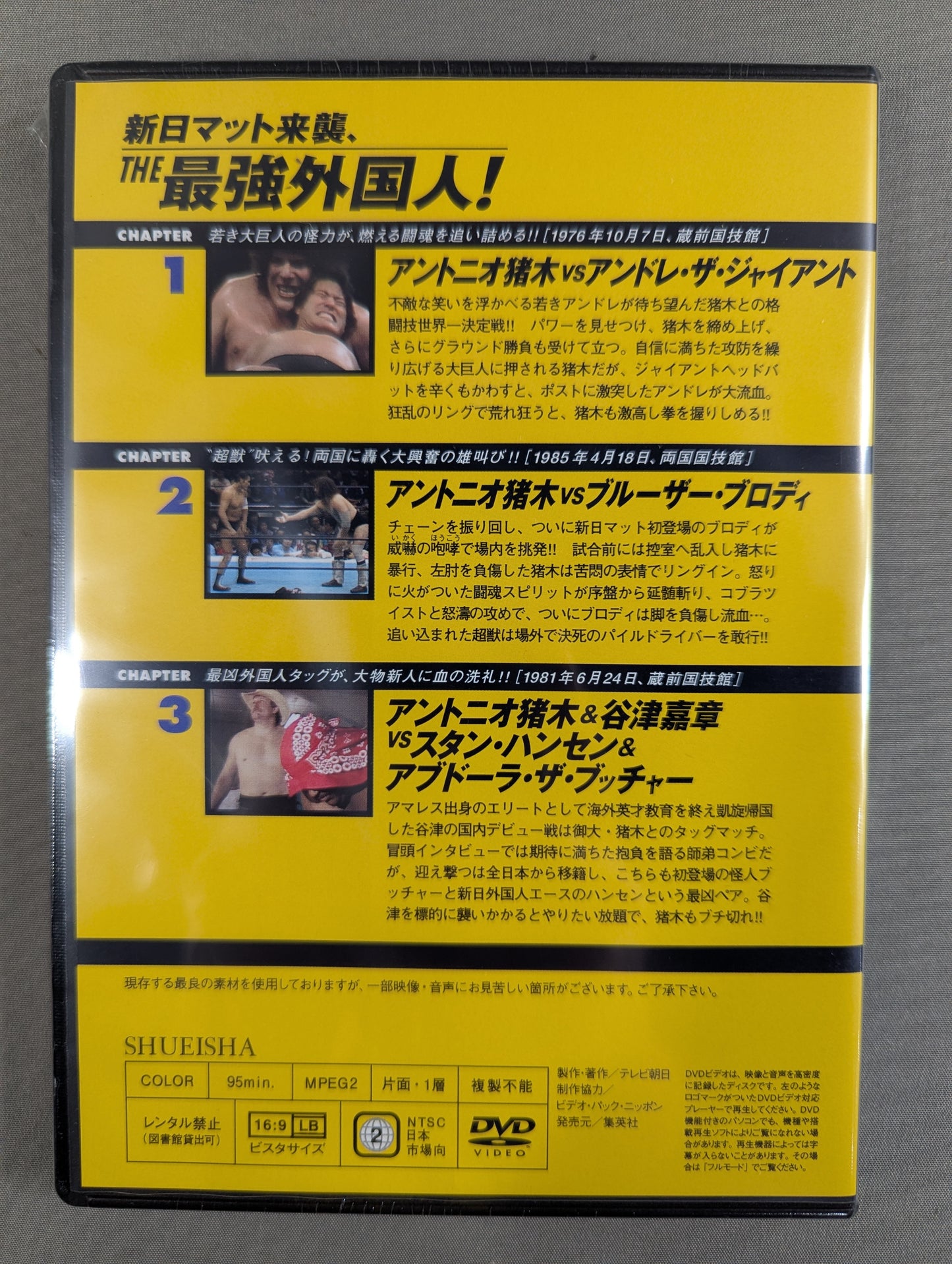 燃えろ!新日本プロレス vol.6