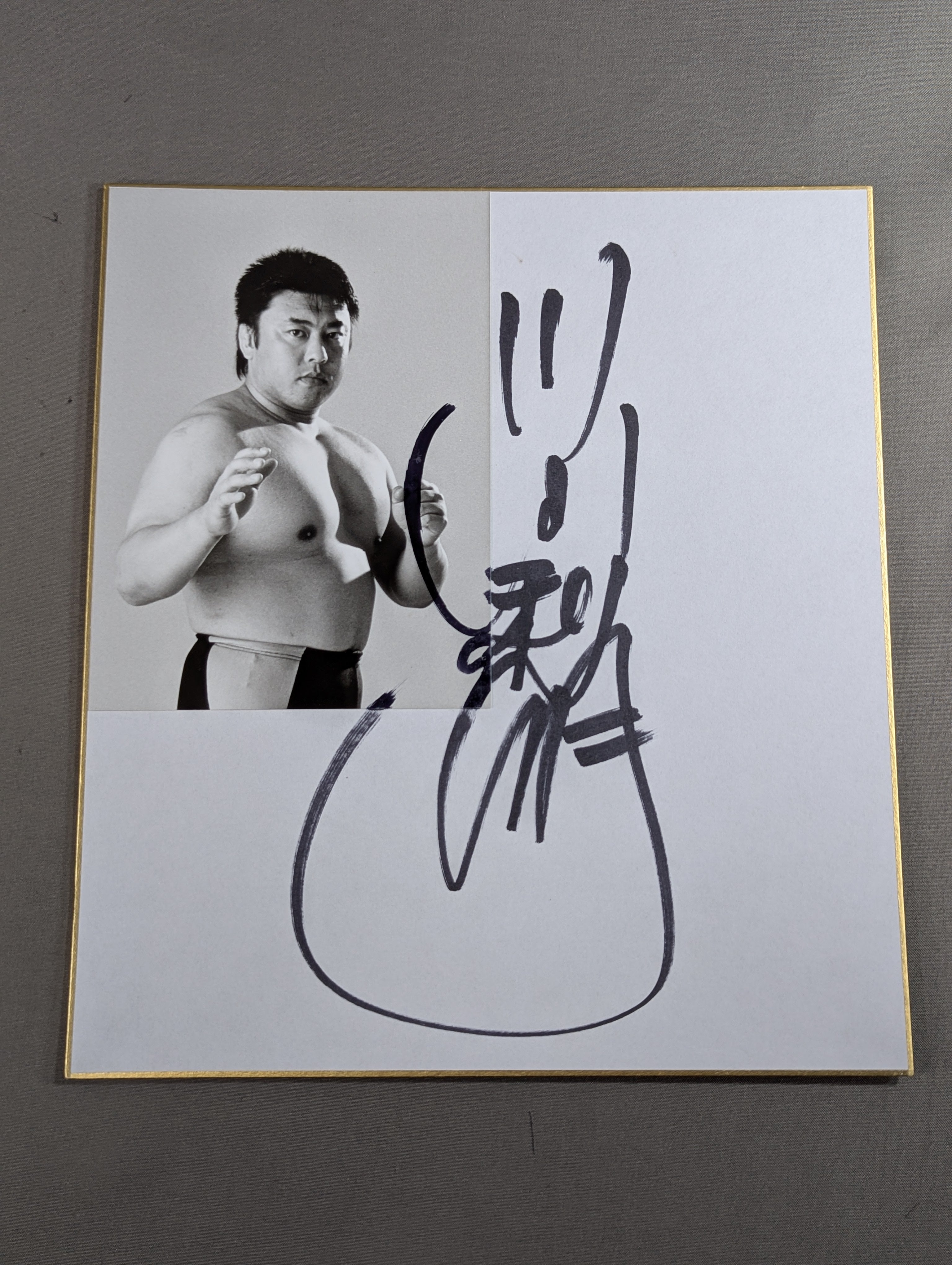 川田利明(白黒ブロマイド貼付) – 闘道館