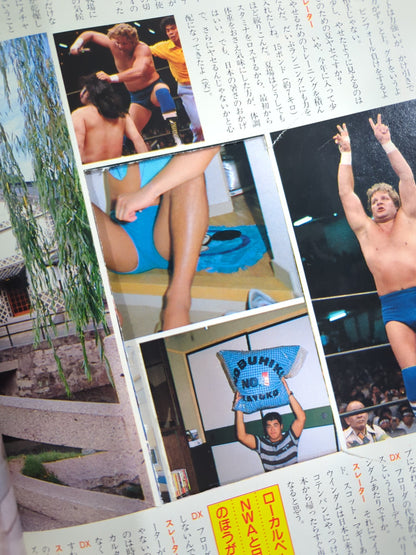 Deluxe Pro Wrestling October 1984