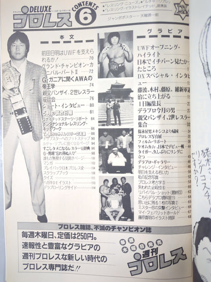 デラックスプロレス 1984年6月号