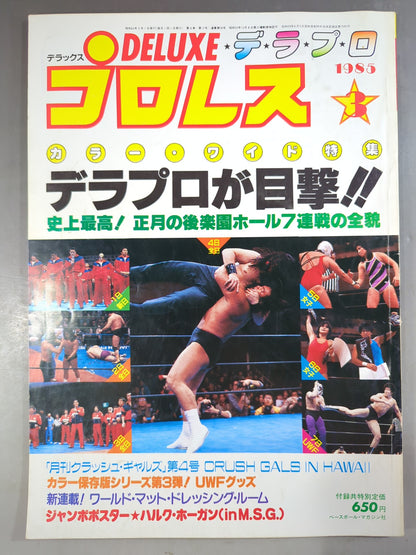 デラックスプロレス 1985年3月号