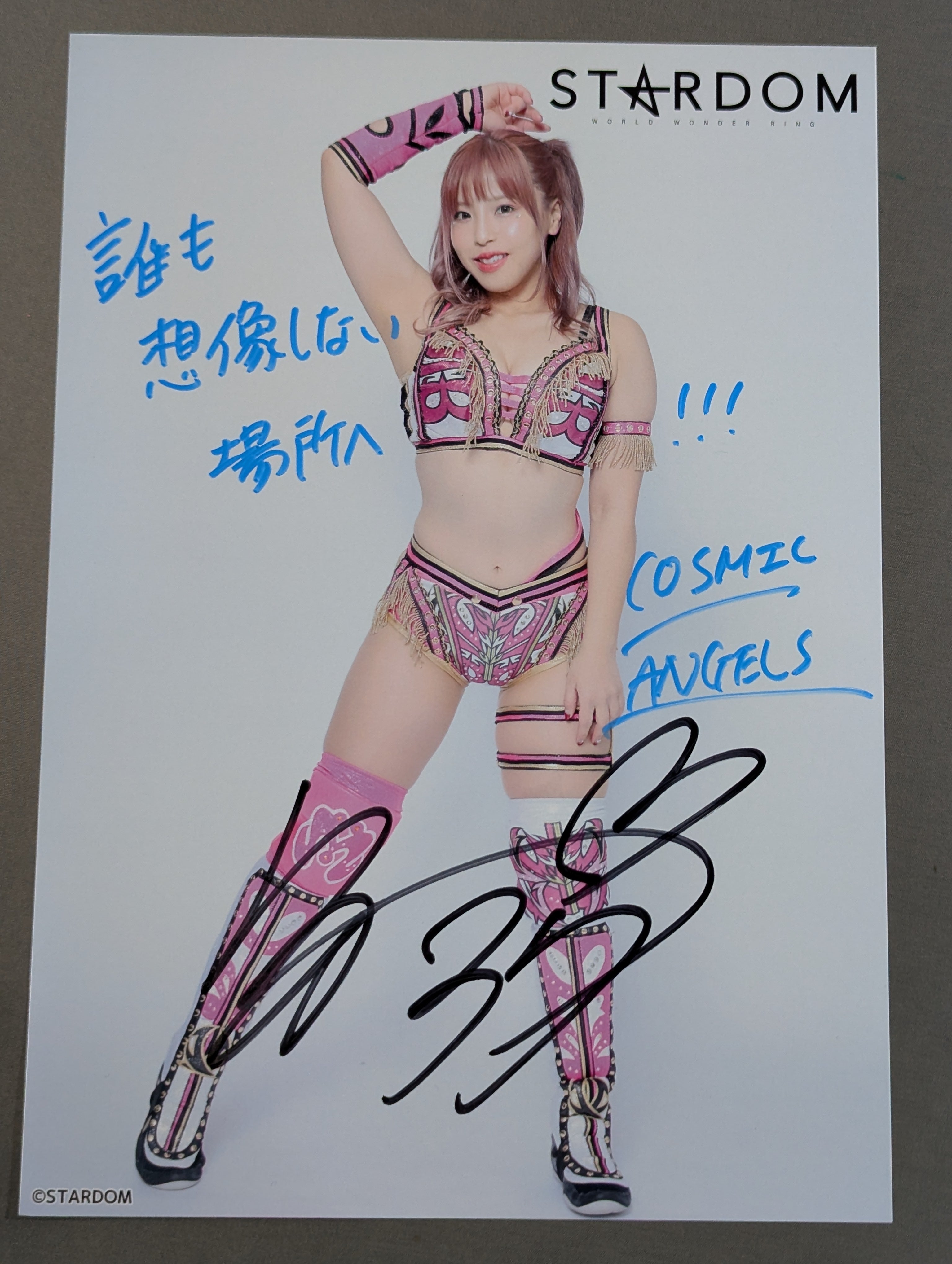 【お渡し会限定】スターダム/STARDOM　白川未奈　直筆サイン入りポートレート 白川未奈 直筆サイン入り スターダムポートレート(L-3) – 闘道館