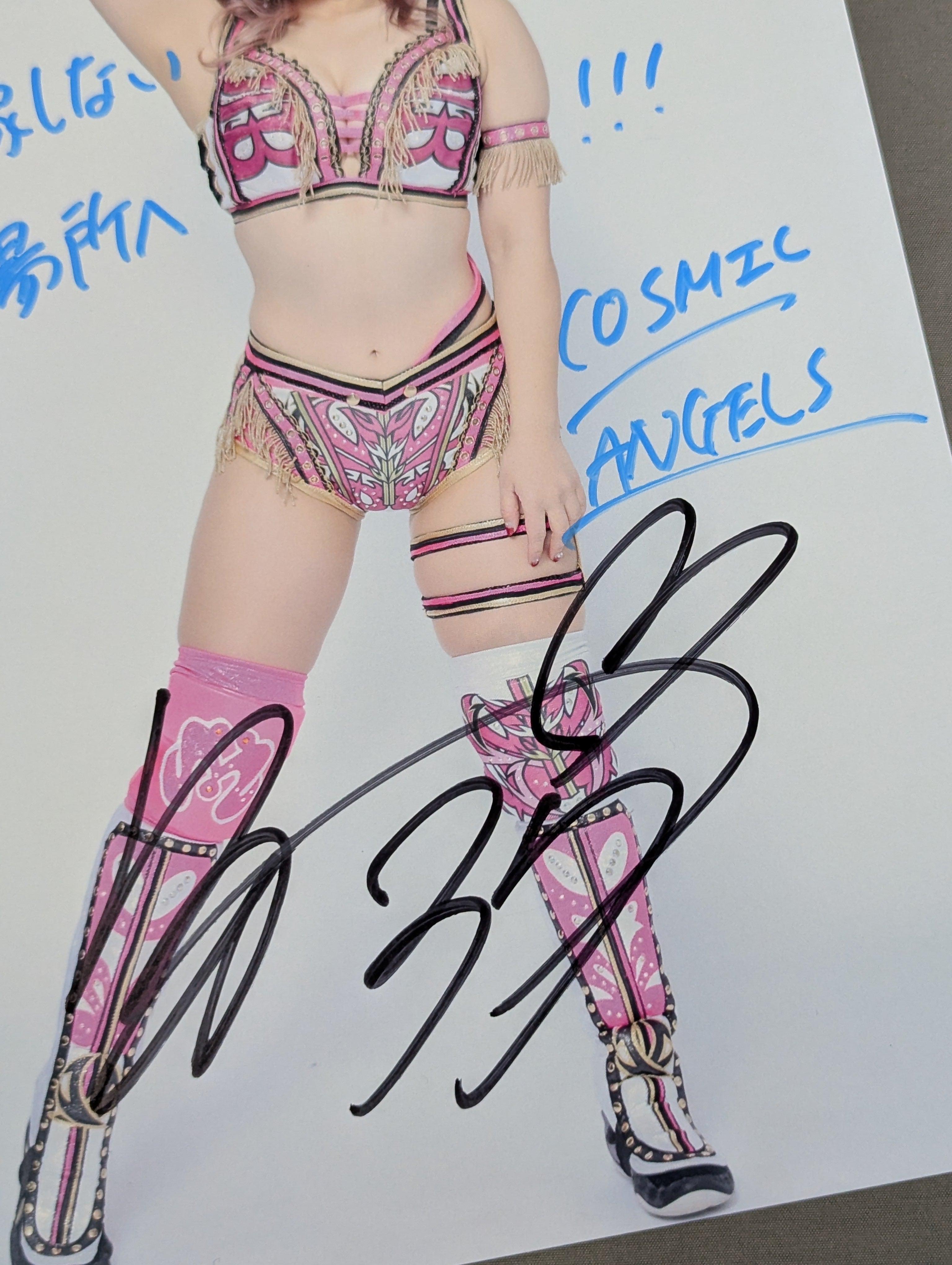 白川未奈 直筆サイン入り スターダムポートレート(L-5) – 闘道館