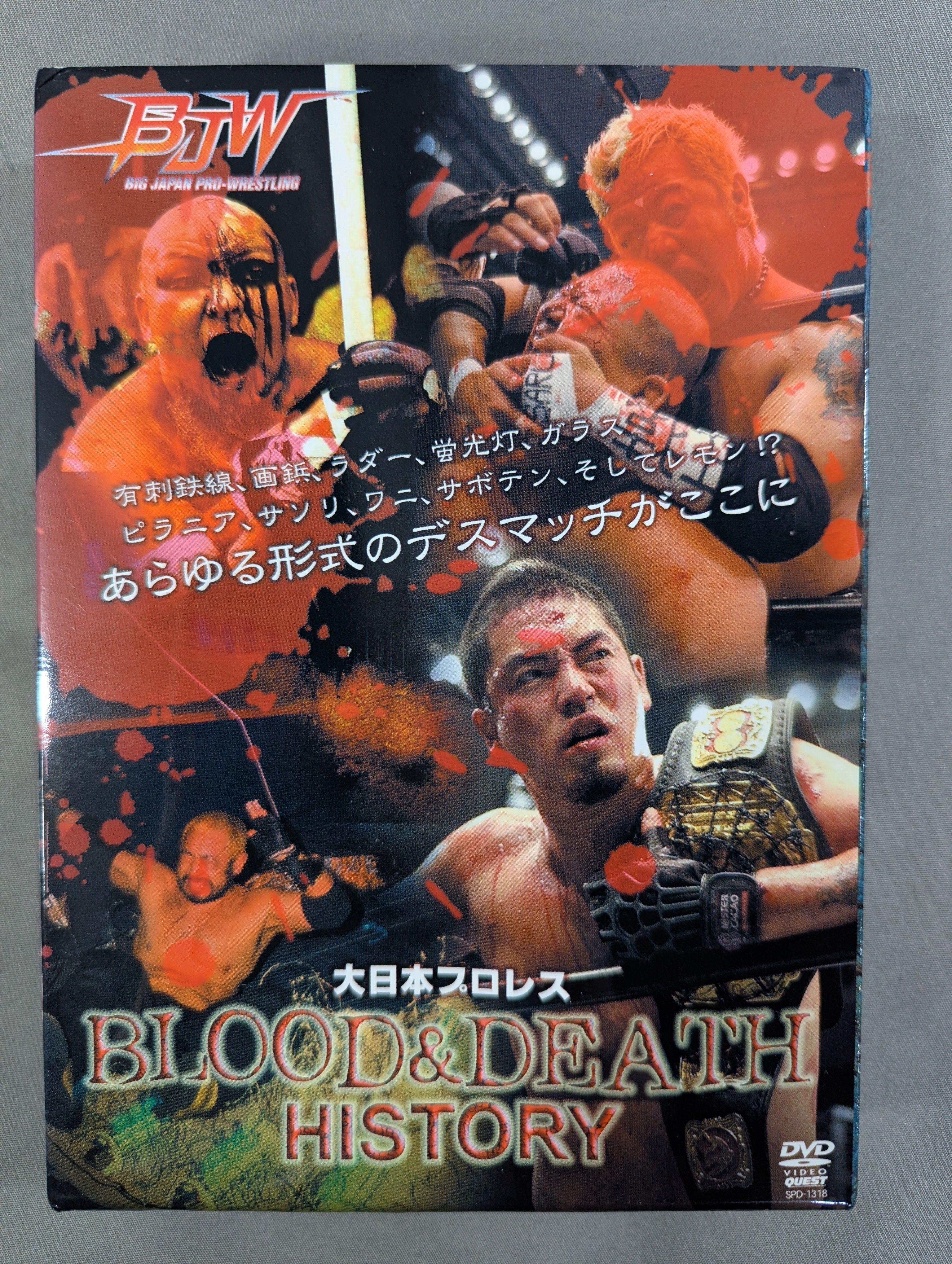 日本プロレス全史 1854年～2013年の闘いの記録 大日本プロレス BLOOD＆DEATH HISTORY – 闘道館