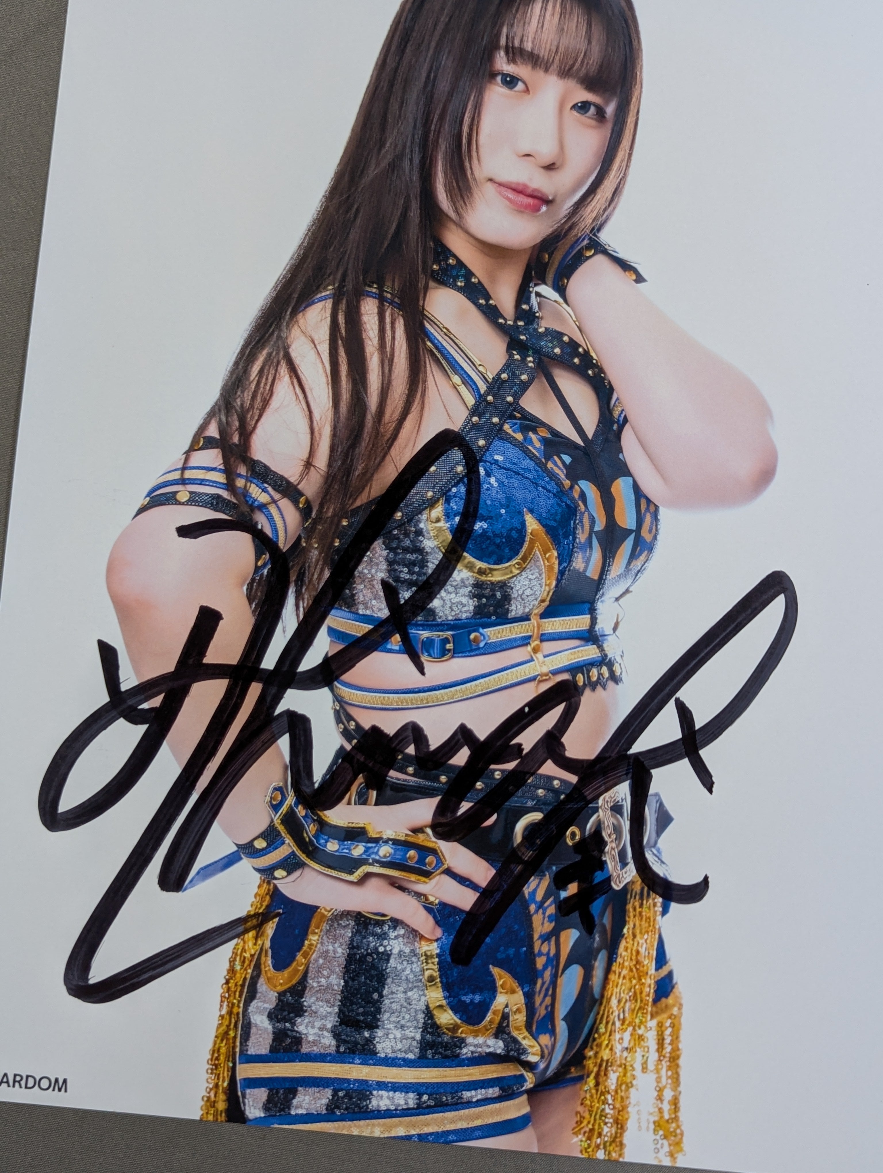 妃南 直筆サイン入り スターダムポートレート(E-8) – 闘道館